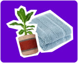أساسيات البيت