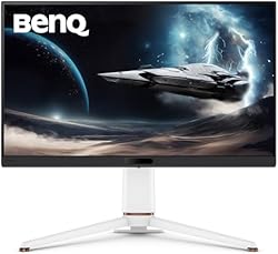 BenQ Monitor