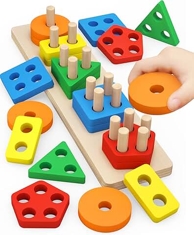 Montessori Wooden Sorting Toy